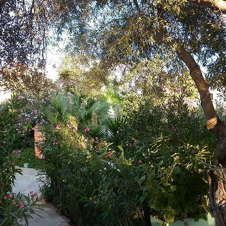 Anadolu Bodrum Hotel Gümbet