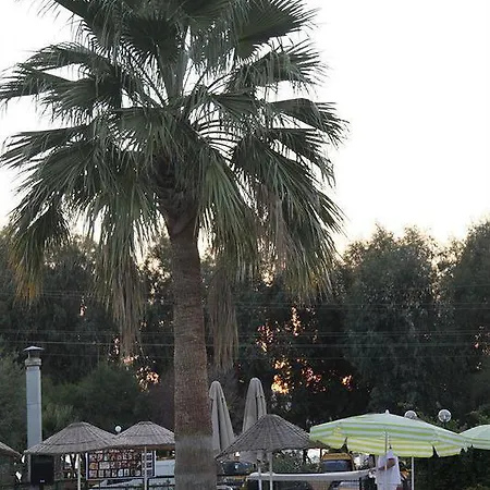 Anadolu Bodrum Hotel 4*